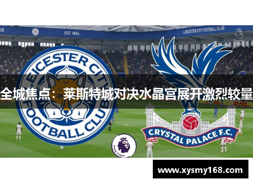 全城焦点:莱斯特城对决水晶宫展开激烈较量 全城焦点:莱斯特城对决水晶宫展开激烈较量