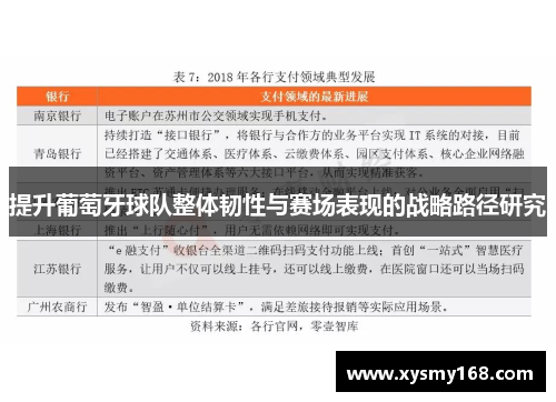 提升葡萄牙球队整体韧性与赛场表现的战略路径研究